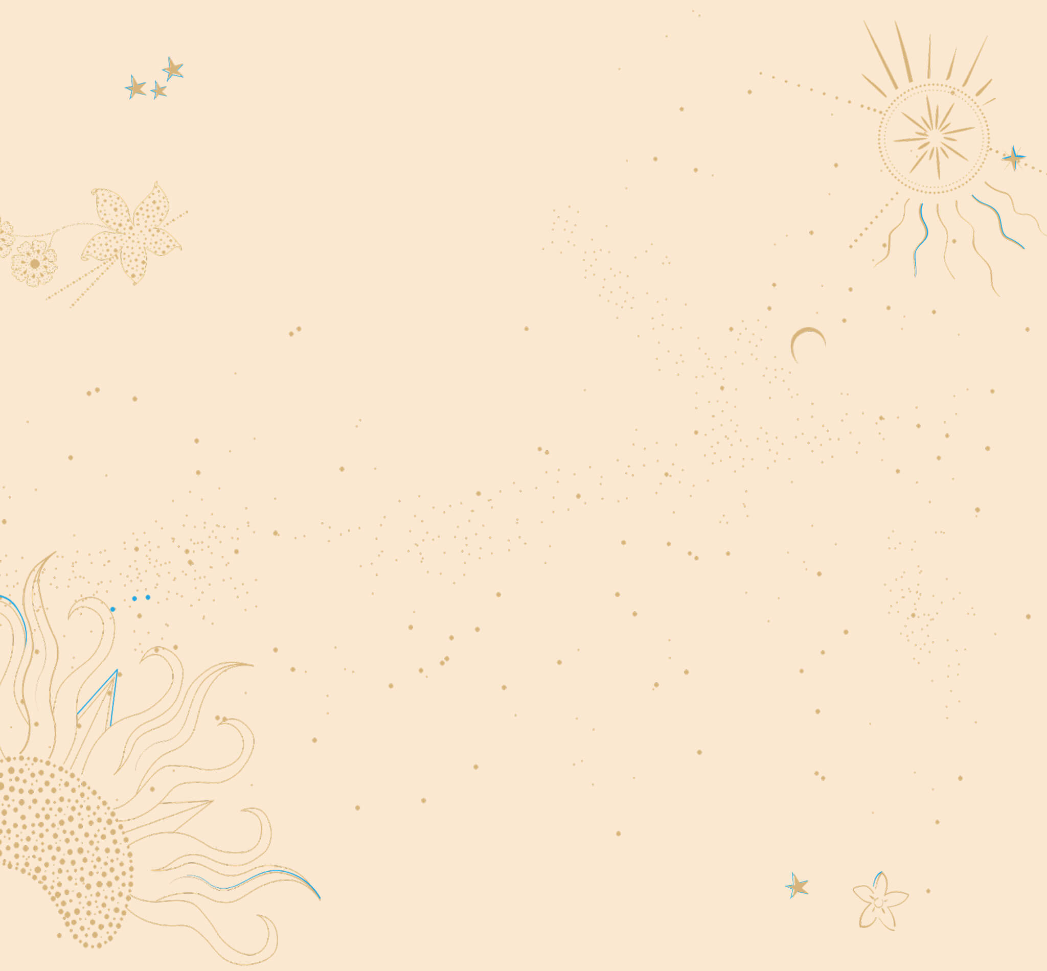 1Aries_Fabric