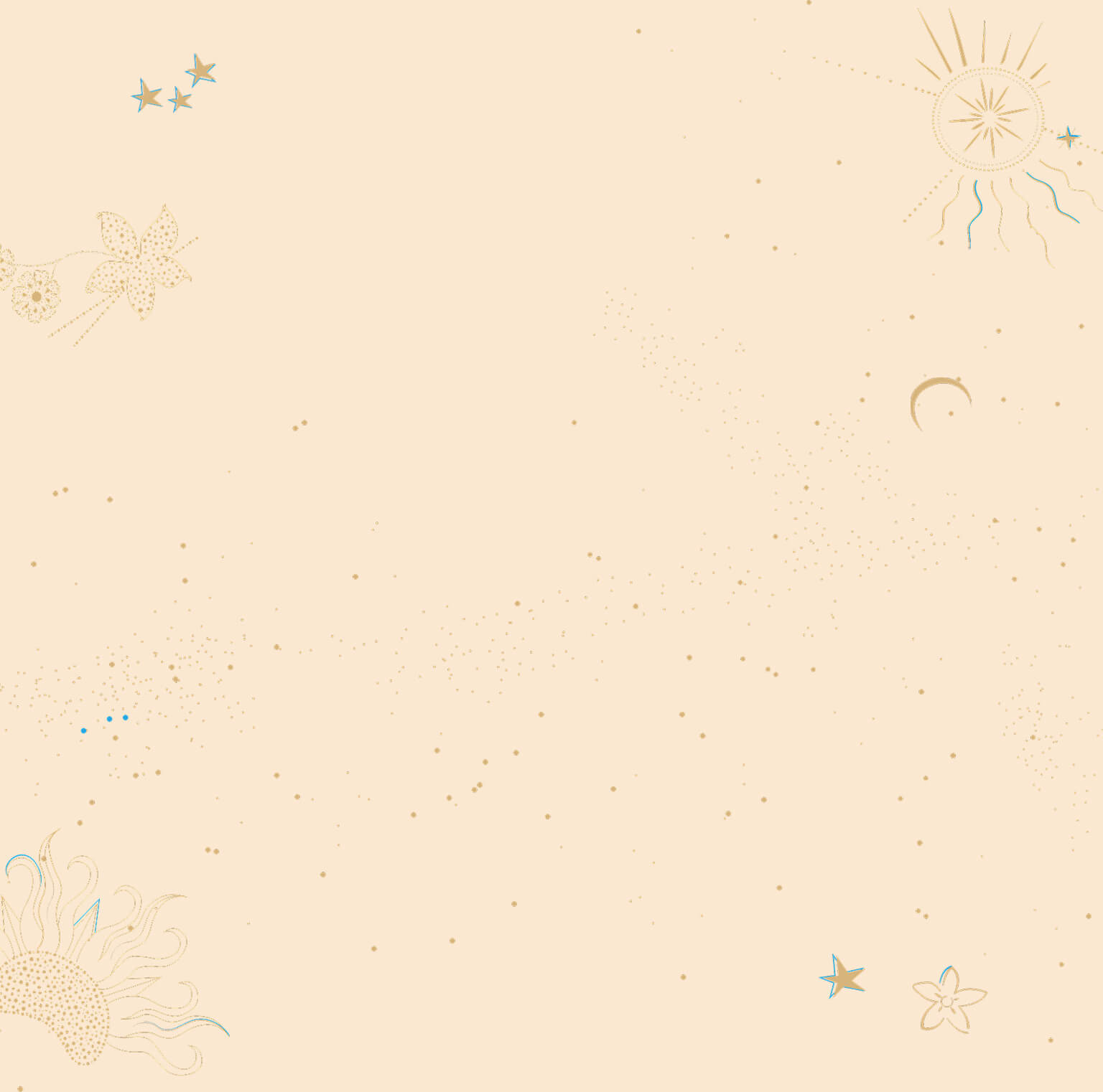 1Aries_Fabric