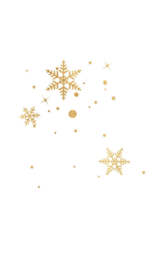 snow1