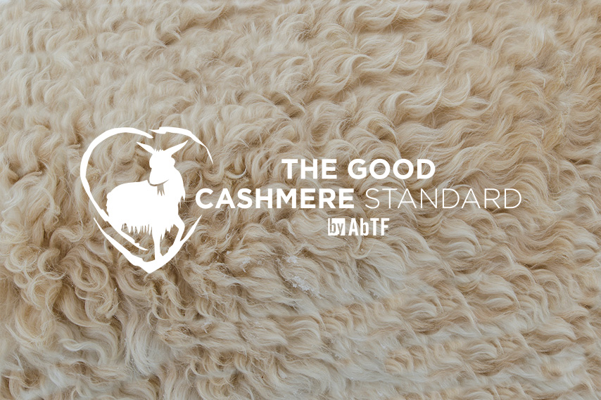 Factory The Good Cashmere Standard by AbTF